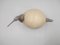 Huevo de Avestruz Italiano con Ribete Plateado, Imagen 9
