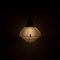 Antique Holophane Refractor Pendant Light, Image 2