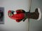 Ceramic Macaw Parrot by Mailard, 1960s, Image 7