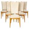 Mid-Century French Dining Chairs in Beech and Skai, 1960s, Set of 6 1