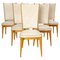 Mid-Century French Dining Chairs in Beech and Skai, 1960s, Set of 6, Image 1