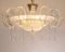 Murano Glass Ceiling Light in Pure Crystal Color with Handmade Leaves and Drops, Italy, 1990s 3