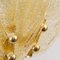 Große Wandlampen mit 3 bernsteinfarbenen Muranoglas-Blättern und goldener Struktur, Italien 10