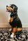 Ceramic Sculpture of Bernese Mountain Dog, Italy, 1960s, Image 9