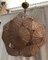 Mid-Century Sputnik Kronleuchter aus Muranoglas, 2000er 6