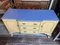 Chippendale Style Hand Painted Mahogany Sideboard 3