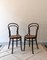 Coffee House Chairs from Ungvar, Hungary, 1890s, Set of 2 1