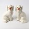 Antique Staffordshire Mantle Dog Figurines, 1890s, Set of 2 3