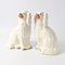 Antike Staffordshire Mantle Hundefiguren, 1890er, 2er Set 9