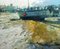 Julian Rowe, Paesaggio marino del sole che cade, Dipinto a olio, 2023, Immagine 1