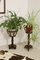 Supports pour Plante Vintage en Bois avec Pieds Ronds, 1950, Set de 2 12