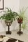 Vintage Wooden Plant Stands with Round Legs, 1950, Set of 2 12