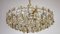 Crystal, Glass & Brass Chandelier by Gaetano Sciolari for Palwa, 1960s 10