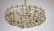 Crystal, Glass & Brass Chandelier by Gaetano Sciolari for Palwa, 1960s 11