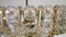 Crystal, Glass & Brass Chandelier by Gaetano Sciolari for Palwa, 1960s 4
