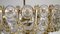 Crystal, Glass & Brass Chandelier by Gaetano Sciolari for Palwa, 1960s, Image 4