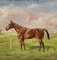 Auguste Vimar, Horse in the Meadow, 1800s, Oil 2