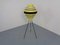 Mid-Century Tripod Floor Lamp, Germany, 1950s 4