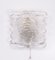 Crystal Wall Light with Glass Shade from Peill & Putzler, Germany, 1960s, Image 1