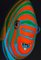 Patrick Chevailler, 996 Arlequin Fish, 2020, Digital Print on Canvas, Image 2