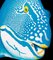 Patrick Chevailler, 543 Bicolorparrotfish, 2020, Digitaldruck auf Leinwand 2