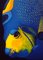 Patrick Chevailler, 501 Fish, 2020, Digital Print on Canvas 2