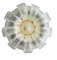 Murano Glass Flush Light by Barovier & Toso, 1980s, Image 1