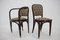 Secession Dining Chairs and Armchairs by Gustav Siegel for J.J.Kohn, 1980, Set of 6, Image 11