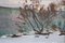 Alfejs Bromults, Winter Landscape, Oil on Cardboard, Image 4