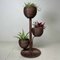 Rattan Plant Stand, 1970s, Image 12