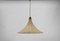German Tulip Cocoon Hanging Lamp by Munich Workshops, 1960s 3