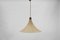 German Tulip Cocoon Hanging Lamp by Munich Workshops, 1960s 5