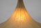 German Tulip Cocoon Hanging Lamp by Munich Workshops, 1960s 12