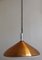 Vintage Ceiling Lamp by Erco, 1970s 3