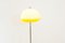 Mid-Century Czechoslovakian Simple Floor Lamp, 1960s 3