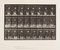 Eadweard Muybridge, Rasentennis, 1887, Lichtdruck 1