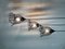 Lámparas colgantes con cuencos de cristal de Murano de Gio Ponti, 1980, Imagen 10