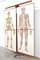 Human Foldable Anatomical Wall Charts, 1920s, Set of 2 9