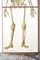 Human Foldable Anatomical Wall Charts, 1920s, Set of 2 4