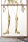 Human Foldable Anatomical Wall Charts, 1920s, Set of 2, Image 4