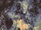 Galaxy Teppich von Roche Bobois 5