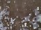 Galaxy Teppich von Roche Bobois 7