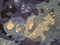 Galaxy Teppich von Roche Bobois 9