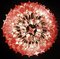 Lámpara de araña de cristal de Murano rosa, 1980, Imagen 3