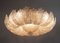 Mid-Century Modern Ceiling Lamp in Brass and Murano Glass by Barovier & Toso, 1980 5