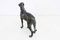 Statuetta Art Deco Greyhound in bronzo, anni '50, Immagine 2