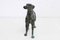 Statuetta Art Deco Greyhound in bronzo, anni '50, Immagine 5