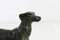 Statuetta Art Deco Greyhound in bronzo, anni '50, Immagine 8