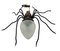 Metal and Glass Spider Wall Lamp, Italy, 1950s, Image 2