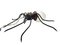 Spider Wandlampe aus Metall & Glas, Italien, 1950er 4